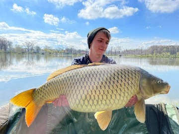 ЦИТРУСОВЫЕ ПРОТЕИНОВЫЕ ШАРИКИ 16ММ RAFISH VIP 200МЛ