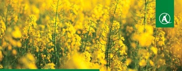 Agrosar 360 SL 5 L Gliposat Randap