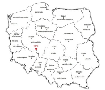 ПОДСТАВКИ ДЛЯ НОГ СТУПЕНЬКА 2X ПЛАТФОРМА ПОЛ ХРОМ TRIUMPH BONNEVILLE THRUXTON