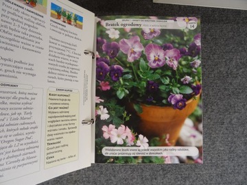 Набор из 6 каталогов ДОМ, ПОЛНЫЙ ЦВЕТОВ Азбука горшечных растений