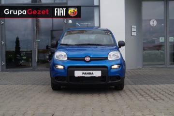 Fiat Panda III 2026 Fiat Panda OD Ręki! Niebieska Icon 1.0 65KM! Najniższa cena!, zdjęcie 1