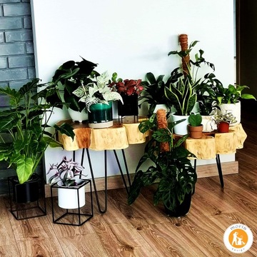 MORIA DESIGN Журнальный столик на металлических ножках-шпильках диаметром 41 см 10