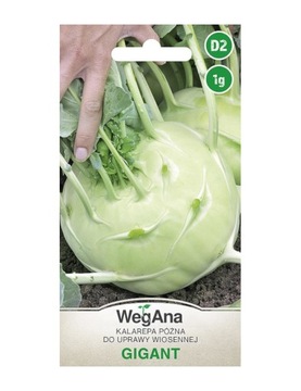 KALAREPA późna Gigant 1g - od 3 do 5 kg WEGANA