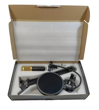 КОНДЕНСАТОРНЫЙ МИКРОФОН E173