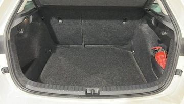 Skoda Scala Hatchback 1.6 TDI 115KM 2020 Škoda Scala Skoda Scala 1,6 TDI SCR Ambition, zdjęcie 10