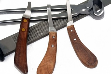 ПРОФЕССИОНАЛЬНЫЙ НАБОР ДЛЯ КОРРЕКЦИИ КОПЫТ С 3 НОЖАМИ