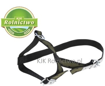 Kantar dla krów i młodych byków