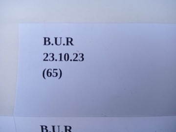 POUZDRO KRYT ZRCÁTKO ZPĚTNÉHO NISSAN JUKE F15 FACELIFT KE9611K030BK