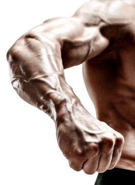 МЕТАЛЛИЧЕСКИЙ РУЧНОЙ ЗАХВАТ KAYTAN STRONG РУЧНОЙ ЗАХВАТ 45 КГ