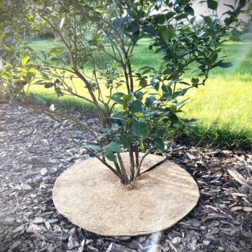 КОКОСОВЫЙ МАТЕРИАЛ ПРОТИВ СОРНЯКОВ, ОБОКРУЖЕНИЕ МОЛСТЫХ РАСТЕНИЙ. 5ММ, ДИАМ. 60 СМ