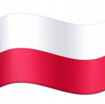 Tatrzanki Черные утепленные тапочки 031 D 028 y.39