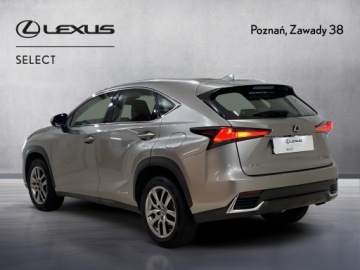 Lexus NX I SUV Facelifting 300h 197KM 2020 Lexus NX 300h Business Edition AWD I (2014-2021) L, zdjęcie 8