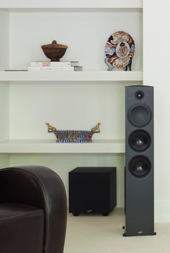 Сабвуфер Paradigm DEFIANCE V10 120 Вт