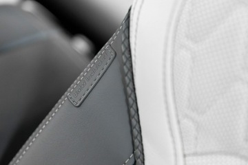 BMW X6 G06 SUV 3.0 30d 286KM 2023 BMW X6 30d xDrive 286KM. Tylko 25 000 km. FV23%., zdjęcie 32