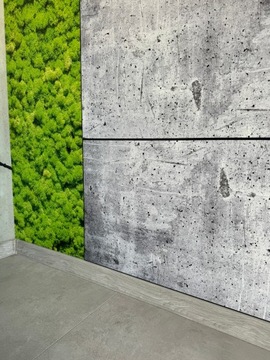 Декоративная стеновая панель Мох Мох 100х50 см архитектурный бетон