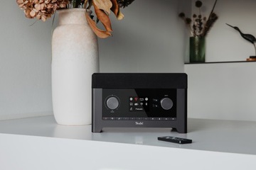 Интернет-радио Teufel RADIO 3SIXTY, черный, WiFi