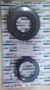 Tłoki automatycznej skrzyni biegów DL501 S-TRONIC