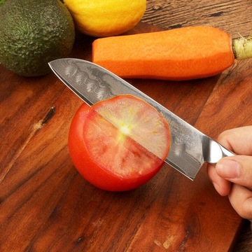 Японский нож SANTOKU SUNNECKO ELITE 13 DAMAST VG10