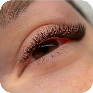 НАКЛАДНЫЕ РЕСНИЦЫ Rarity Black Brown Lashes CC Curl | 0,10 мм | 12 мм