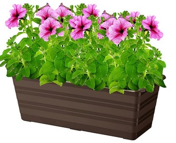 SKRZYNKA BALKONOWA DONICZKA NA KWIATY 60cm BRĄZ