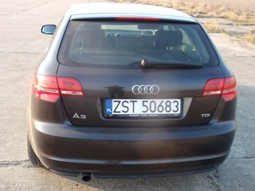 Audi A3 8V 2012 AUDI A3 Sportback (8VA, 8VF) 2.0 TDI 143 KM, zdjęcie 2