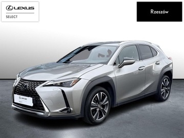 Lexus UX Crossover Facelifting 2.0 250h 184KM 2023 Lexus UX 250h GPF Business 2WD UX 250h Business +
