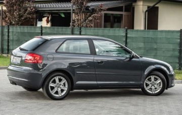 Audi A3 8P Hatchback 3d 1.6 TDI 105KM 2010 Audi A3 3-drzwiowe 1.6TDI 105KM DsG Skora Climatron Alu Po Serwisie Gwaran, zdjęcie 13