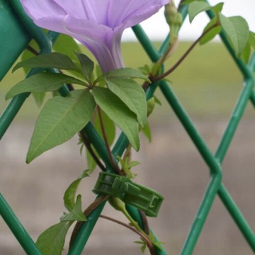 ЗАЖИМЫ, ЗАЖИМЫ ДЛЯ ТОМАТОВ, ПОБЕЙКИ, СТЕБЛИ, 100 ШТ.