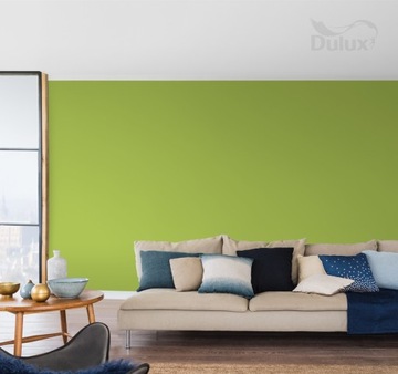 DULUX COLORS OF THE WORLD - экваториальный лес, 5л