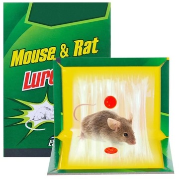 PUŁAPKA NA MYSZY SZCZURY LEP PRZYLEPIEC ŁAPKA 5szt KARTKA LEPOWA ŁAPACZ