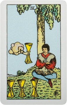 Rider Waite Tarot Pocket, instr. PL, AGM