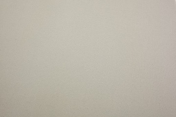 ОТДЕЛКА ПОТОЛКА, АВТОТКАНЬ, БОКОВИНЫ АВТОМОБИЛЯ, 50 ШТ/БЕЖЕВЫЙ