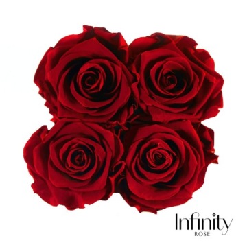 Цветочная коробка с ароматными красными вечными розами.