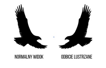 Набор наклеек на окно, отпугивающих птиц, 6 шт.