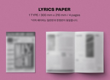 STRAY KIDS - MAXIDENT Standard Edition HEART