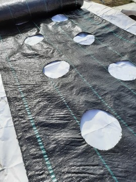 Агротакнин для клубники с отверстиями для сорняков любых метров