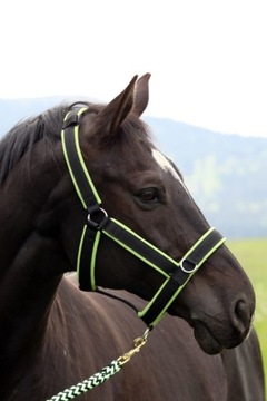 KANTAR MANMAT STABLE HALTER NIEBIESKI L