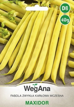Fasola Maxidor Bezwłóknista Szparagowa karłowa nasiona 40g WegAna