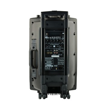 Мобильная колонка PORT 12'' FM 2x MIC UHF TWS аккумулятор
