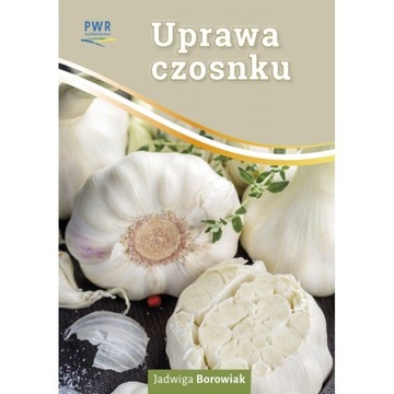 UPRAWA CZOSNKU