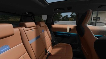 Mini Countryman U25 2025 MINI Countryman Countryman S ALL4 218 KM mHEV - Kamera 360 - HarmanKardon, zdjęcie 11