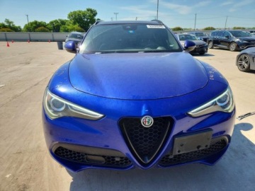 Alfa Romeo Stelvio 2022 Alfa Romeo Stelvio 2022. 2.0 Benzyna 280KM, zdjęcie 5