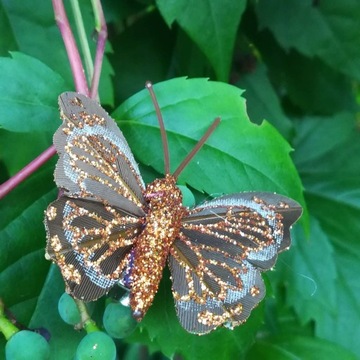 Микс бабочек BUTTERFLIES скрепки коричневые белые золотые 10 шт.