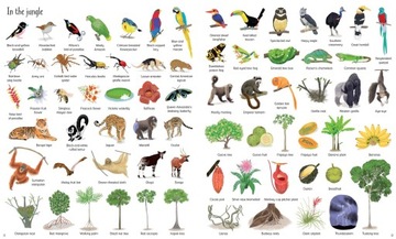 1000 вещей в природе