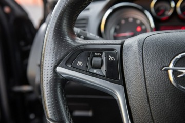 Opel Insignia I Sports Tourer 2.0 Turbo ECOTEC 220KM 2009 Opel Insignia COSMO ! 2,0T 220KM ! Super Stan, zdjęcie 21