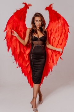 Красные крылья ангела, фотосессия. Крылья на День святого Валентина