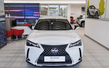 Lexus UX 2024 Lexus UX 300h Business 2.0 Hybryda 152KM, zdjęcie 1