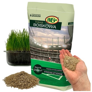 TRAWA Sportowa Odporna na Wymarzanie Na Murawę 5kg