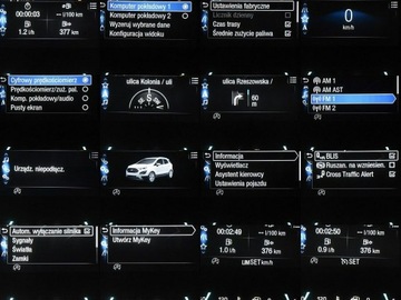 Ford Ecosport II SUV Facelifting 1.0 EcoBoost 125KM 2019 Ford EcoSport 1.0 EcoBoost gwarancja przebiegu ST, zdjęcie 22