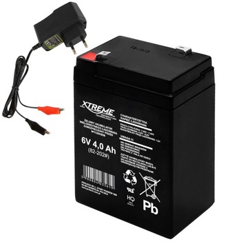 ZESTAW AKUMULATOR ŻELOWY ŁADOWARKA AGM 6V 4Ah UPS